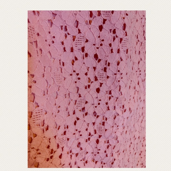 Ann Taylor Dusty Rose Pink Lace Sleeveless Midi Dress - Picture 4 of 4